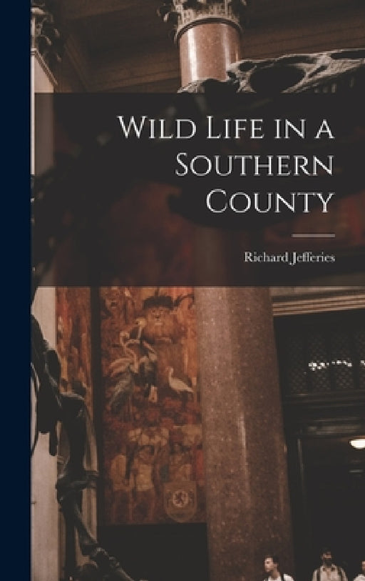 Wild Life in a Southern County by Jefferies Richard