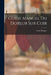 Guide Manuel Du Doreur Sur Cuir by Émile Bosquet