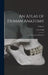 An Atlas of Human Anatomy: For Students and Physicians; Volume 5 by Carl Toldt