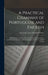 A Practical Grammar of Portuguese and English: 3 Exhibiting, in a Series of Exercises in Double Translation, the Idiomatic Structure of Both Languages by Alexander James Donald D'Orsey