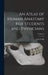 An Atlas of Human Anatomy for Students and Physicians; Volume 6 by Carl Toldt