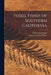 Fossil Fishes of Southern California by David Starr Jordan