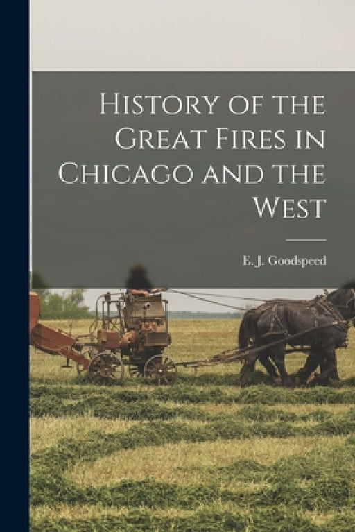 History of the Great Fires in Chicago and the West by E. J. Goodspeed