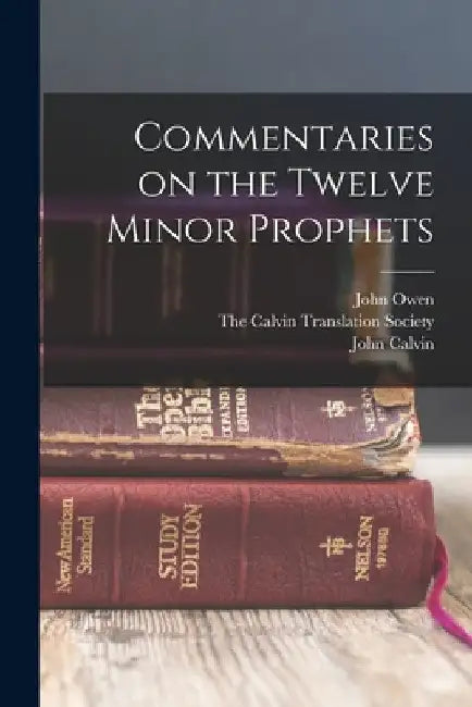Commentaries on the Twelve Minor Prophets by John Owen