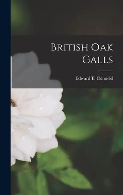 British oak Galls by Edward T. Connold