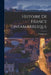 Histoire De France Tintamarresque by Touchatout