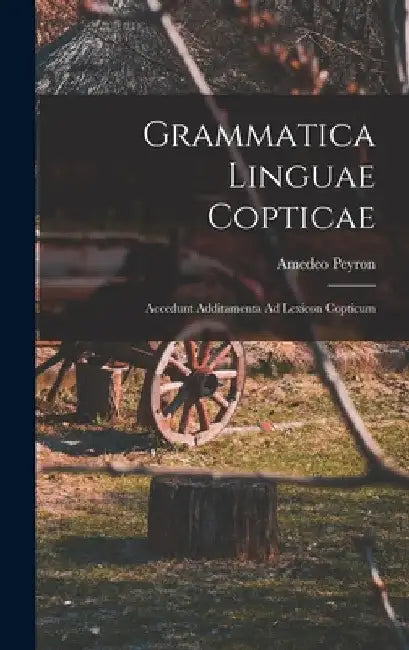 Grammatica Linguae Copticae: Accedunt Additamenta Ad Lexicon Copticum by Amedeo Peyron