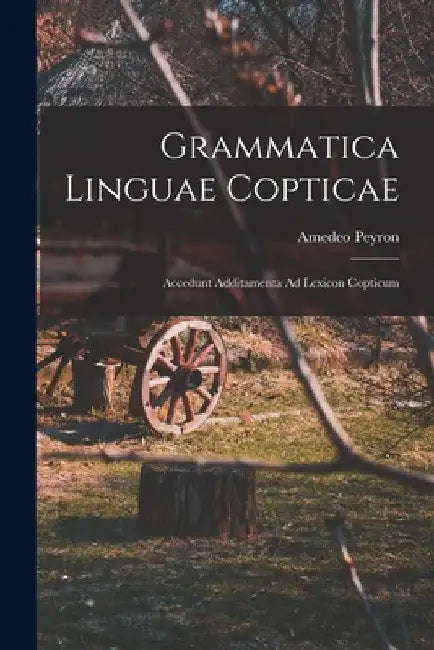 Grammatica Linguae Copticae: Accedunt Additamenta Ad Lexicon Copticum by Amedeo Peyron