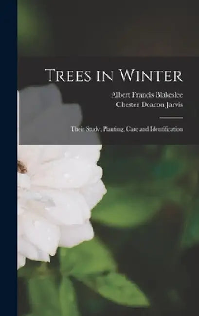 Trees in Winter: Their Study, Planting, Care and Identification by Albert Francis Blakeslee