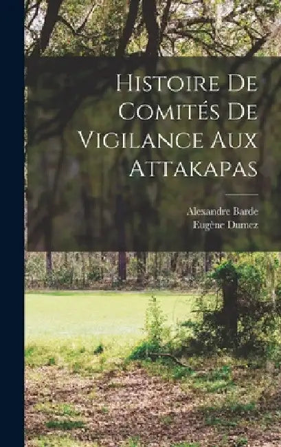Histoire de comités de vigilance aux Attakapas by Barde Alexandre