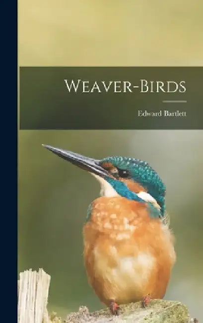 Weaver-Birds by Edward Bartlett