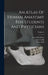 An Atlas Of Human Anatomy For Students And Physicians; Volume 2 by Carl Toldt