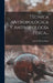 Técnica Antropológica Y Antropología Física... by Luis de Hoyos Sáinz