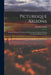 Picturesque Arizona: Being the Result of Travels and Observations in Arizona During the Fall and Winter of 1877 by Enoch Conklin