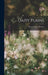 Daisy Plains by Susan Bogert Warner