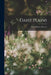 Daisy Plains by Susan Bogert Warner