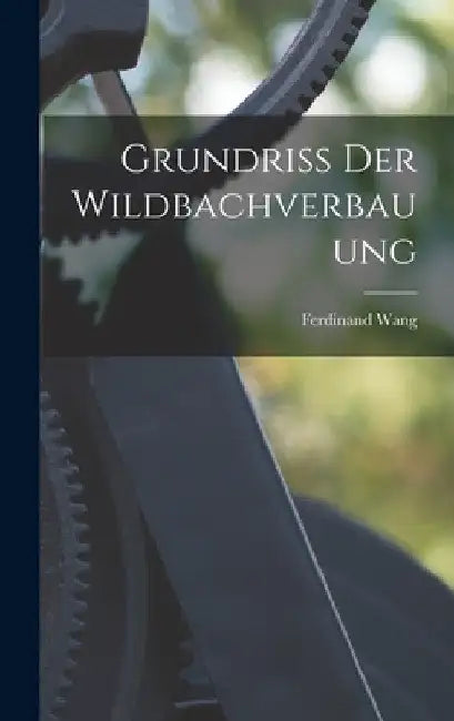 Grundriss Der Wildbachverbauung by Ferdinand Wang