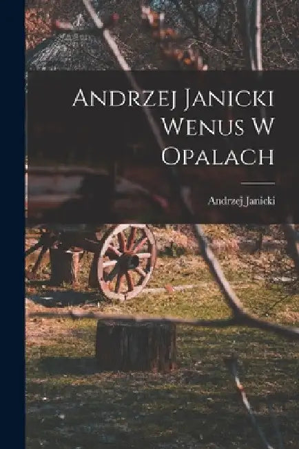 Andrzej Janicki Wenus W Opalach by Andrzej Janicki