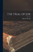 The Trial of Job by Silas H. Durand