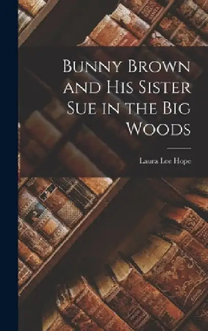 Bunny Brown and His Sister Sue in the Big Woods by Laura Lee Hope