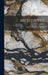 Meteorites by Foote Mineral Company