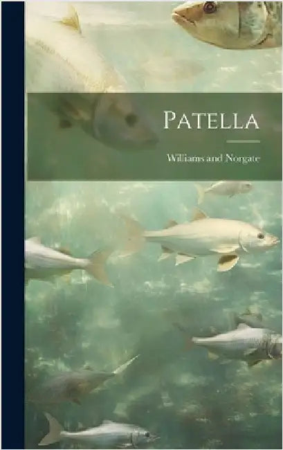 Patella by Williams and Norgate