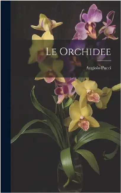 Le orchidee by Pucci, Angiolo