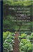 War Gardening and Home Storage of Vegetables for the Southern States by National War Garden Commission [From