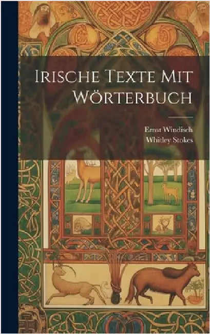 Irische Texte mit Wörterbuch by Stokes, Whitley