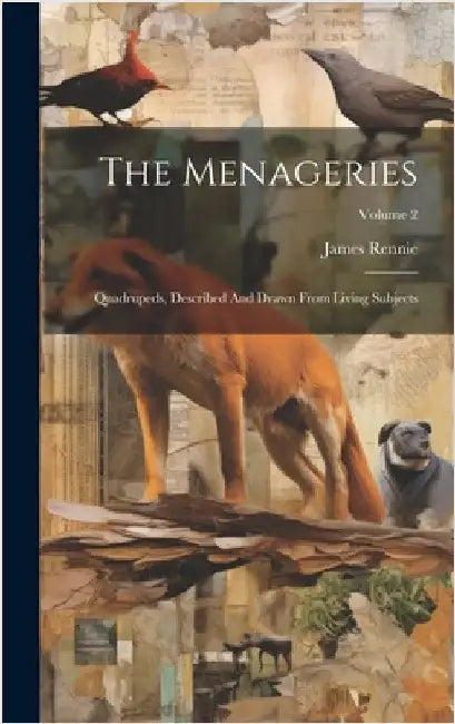 The Menageries: Quadrupeds, Described And Drawn From Living Subjects; Volume 2 by Rennie, James
