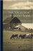 The "Excelsior" Poultry Book by Field, Fanny Pseud