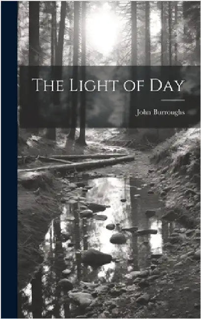 The Light of Day by Burroughs, John