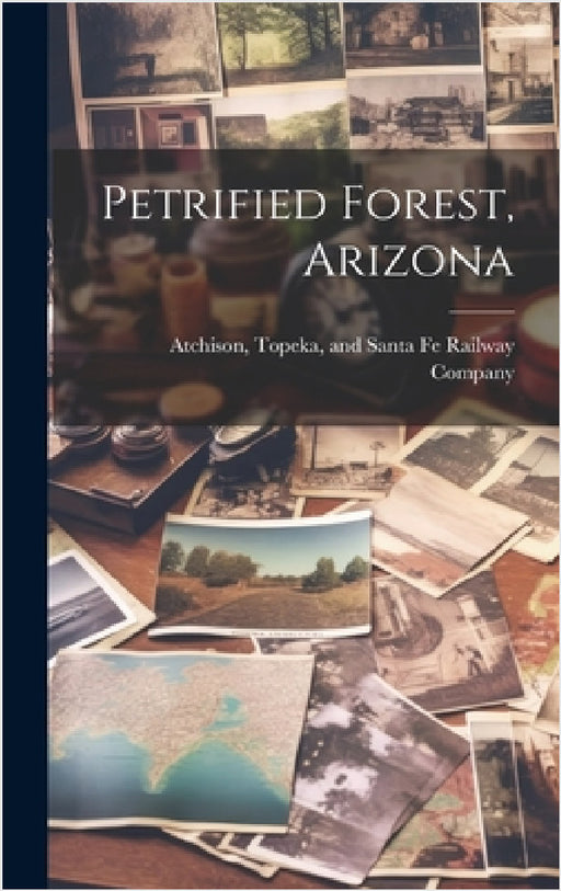 Petrified Forest, Arizona by Topeka And Santa Fe Railwa Atchison