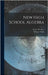 New High School Algebra by Wells, Webster