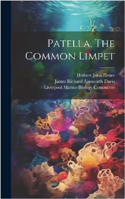 Patella, The Common Limpet by James Richard Ainsworth Davis