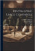 Revitalizing Large Companies by Anderson, David G.