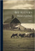 Bee-keeper's Magazine; Volume 2 by Anonymous
