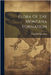 Flora Of The Montana Formation by Knowlton, Frank Hall