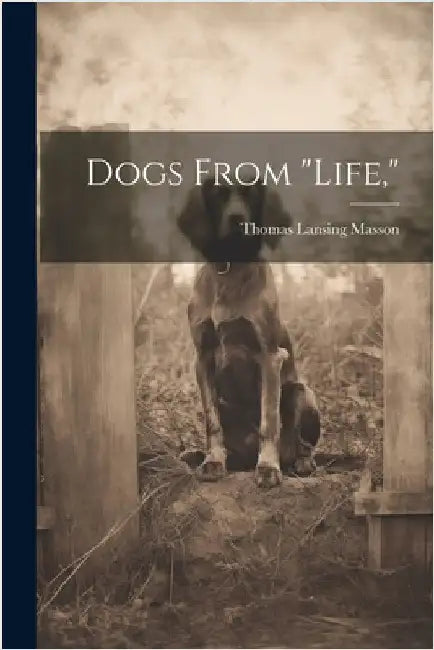 Dogs From "life," by Masson, Thomas Lansing