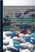 Introduction to Materia Medica and Pharmacology, Including the Elements of Medical Pharmacy, Prescription Writing, Medical Latin, Toxicology, and Meth by Osborne, Oliver T. (Oliver Thomas) 1.