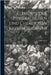 Elemente Der Physikalischen Und Chemischen Krystallographie by Groth, Paul