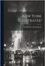 New York Illustrated by D Appleton and Company