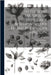 Natuurlyke Historie, of Uitvoerige Beschryving der Dieren, Planten, en Mineraalen by Linné, Carl Von