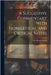 A Suggestive Commentary With Homiletical and Critical Notes by H. Van Doren, W.