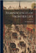 Reminiscences of Frontier Life by Hammond, I. B.