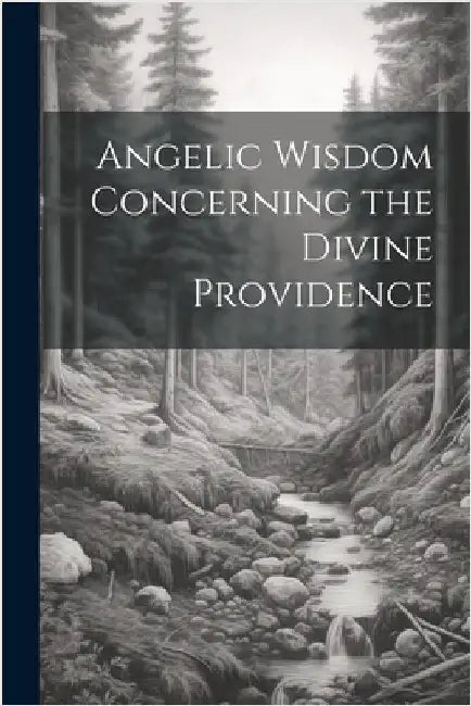 Angelic Wisdom Concerning the Divine Providence by Anonymous