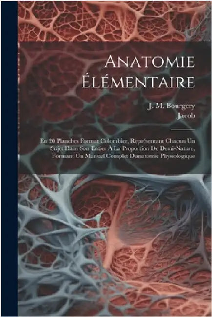 Anatomie Élémentaire: En 20 Planches Format Colombier, Représentant Chacun Un Sujet Dans Son Entier À La Proportion De Demi-nature, Formant by Bourgery, J. M.