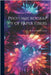 Photomicrography of Paper Fibers by Roscoe Elwood Lofton