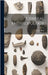 General Anthropology by Franz Boas
