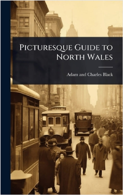 Picturesque Guide to North Wales by Adam And Charles Black
